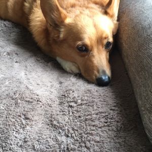 Meet your Posher, Debra